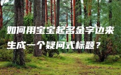 如何用宝宝起名金字边来生成一个疑问式标题？