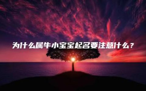 为什么属牛小宝宝起名要注意什么？