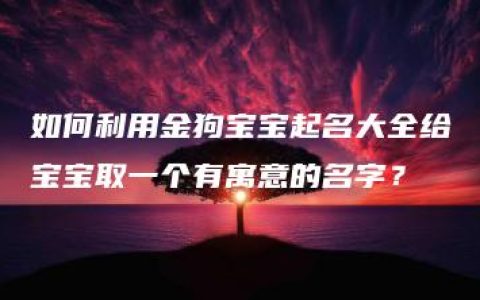 如何利用金狗宝宝起名大全给宝宝取一个有寓意的名字？