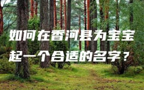 如何在香河县为宝宝起一个合适的名字？