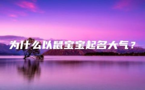 为什么以鼠宝宝起名大气？