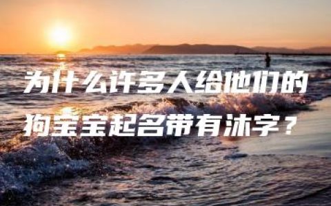 为什么许多人给他们的狗宝宝起名带有沐字？