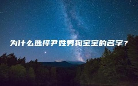 为什么选择尹姓男狗宝宝的名字？