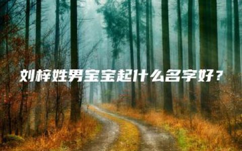 刘梓姓男宝宝起什么名字好？