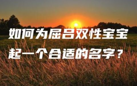 如何为屈吕双性宝宝起一个合适的名字？