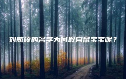 刘航硕的名字为何取自鼠宝宝呢？