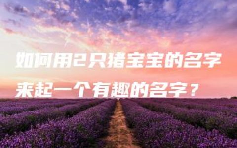 如何用2只猪宝宝的名字来起一个有趣的名字？