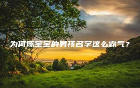 为何陈宝宝的男孩名字这么霸气？