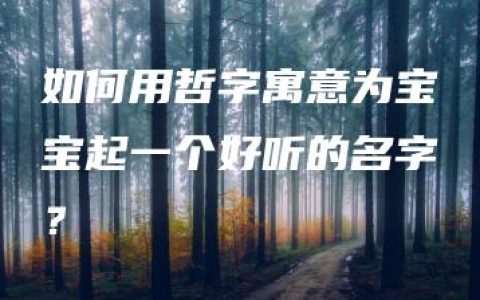 如何用哲字寓意为宝宝起一个好听的名字？