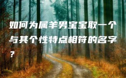 如何为属羊男宝宝取一个与其个性特点相符的名字？