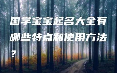 国学宝宝起名大全有哪些特点和使用方法？