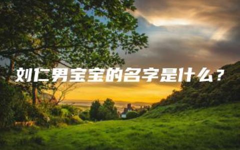 刘仁男宝宝的名字是什么？