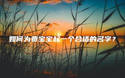 如何为贾宝宝起一个合适的名字？