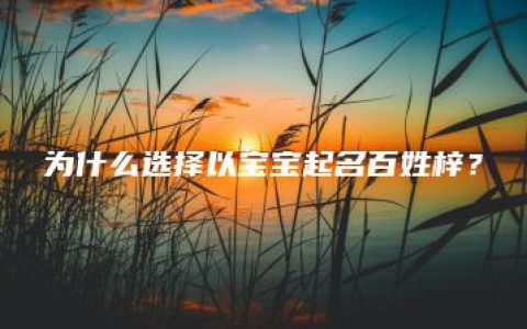 为什么选择以宝宝起名百姓梓？