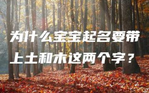 为什么宝宝起名要带上土和木这两个字？