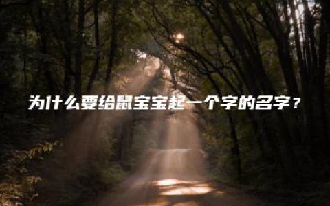 为什么要给鼠宝宝起一个字的名字？