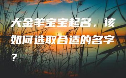 大金羊宝宝起名，该如何选取合适的名字？