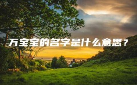 万宝宝的名字是什么意思？