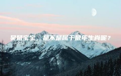 吴鼠宝宝，是不是属于鼠年生肖呢？