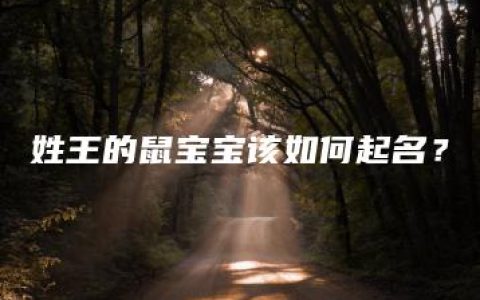 姓王的鼠宝宝该如何起名？