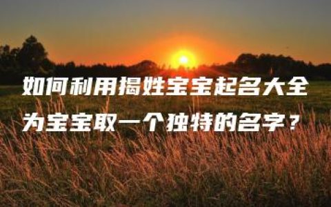 如何利用揭姓宝宝起名大全为宝宝取一个独特的名字？