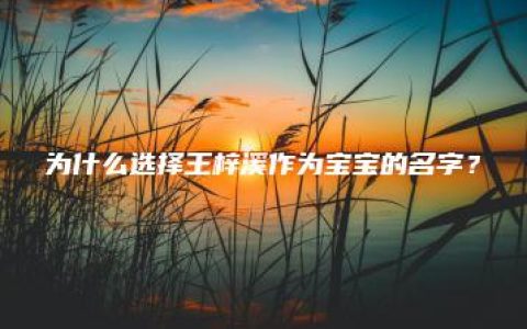 为什么选择王梓溪作为宝宝的名字？