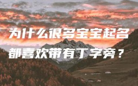 为什么很多宝宝起名都喜欢带有丁字旁？