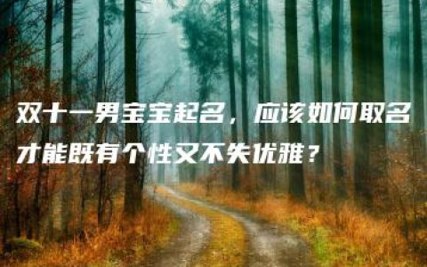 双十一男宝宝起名，应该如何取名才能既有个性又不失优雅？