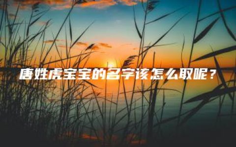 唐姓虎宝宝的名字该怎么取呢？