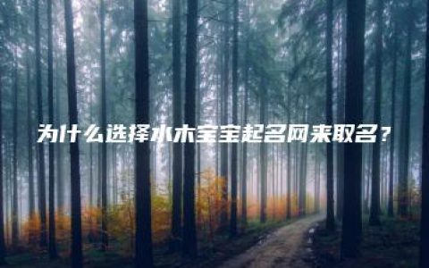 为什么选择水木宝宝起名网来取名？