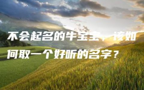 不会起名的牛宝宝，该如何取一个好听的名字？