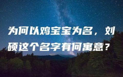 为何以鸡宝宝为名，刘硕这个名字有何寓意？