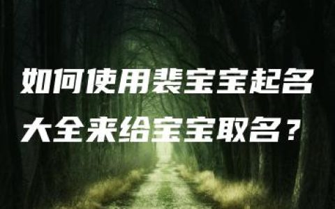 如何使用裴宝宝起名大全来给宝宝取名？