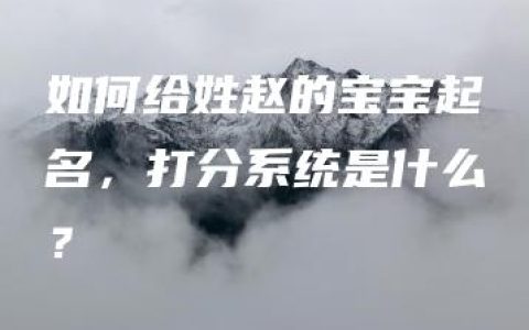 如何给姓赵的宝宝起名，打分系统是什么？