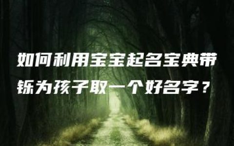 如何利用宝宝起名宝典带铄为孩子取一个好名字？