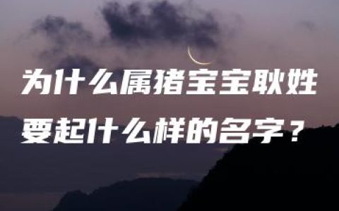 为什么属猪宝宝耿姓要起什么样的名字？