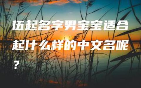 伍起名字男宝宝适合起什么样的中文名呢？