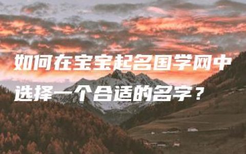 如何在宝宝起名国学网中选择一个合适的名字？