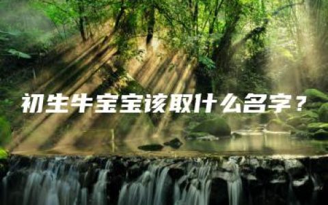 初生牛宝宝该取什么名字？