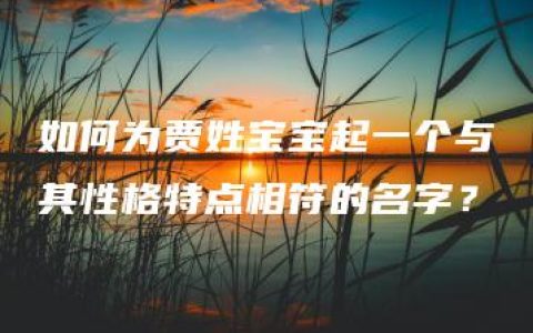 如何为贾姓宝宝起一个与其性格特点相符的名字？