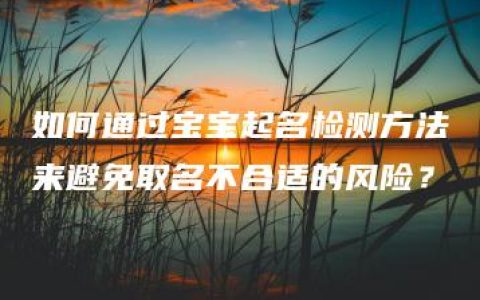 如何通过宝宝起名检测方法来避免取名不合适的风险？