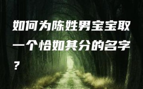 如何为陈姓男宝宝取一个恰如其分的名字？