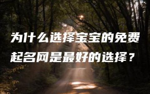 为什么选择宝宝的免费起名网是最好的选择？