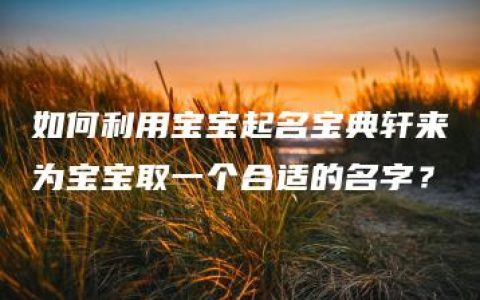 如何利用宝宝起名宝典轩来为宝宝取一个合适的名字？