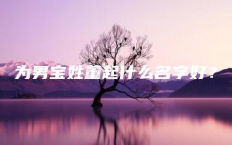 为男宝姓董起什么名字好？