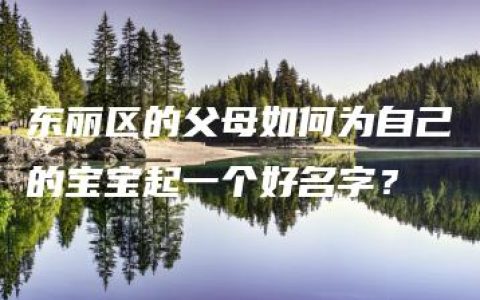 东丽区的父母如何为自己的宝宝起一个好名字？