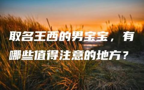 取名王西的男宝宝，有哪些值得注意的地方？