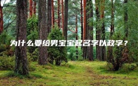 为什么要给男宝宝起名字以政字？