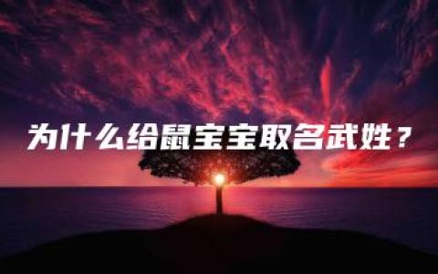 为什么给鼠宝宝取名武姓？