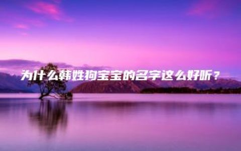 为什么韩姓狗宝宝的名字这么好听？